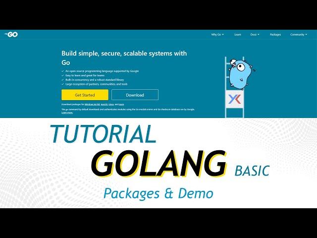 Tutorial Golang - Packages & Demo Project #6