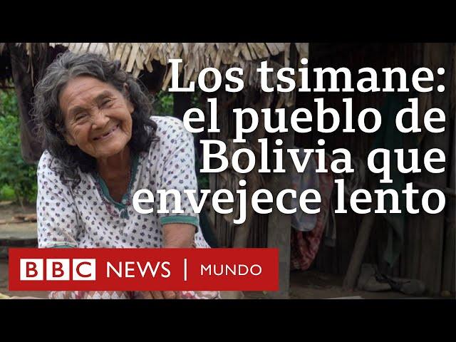 Los tsimane, la comunidad de Bolivia donde las personas envejecen más lento | BBC Mundo