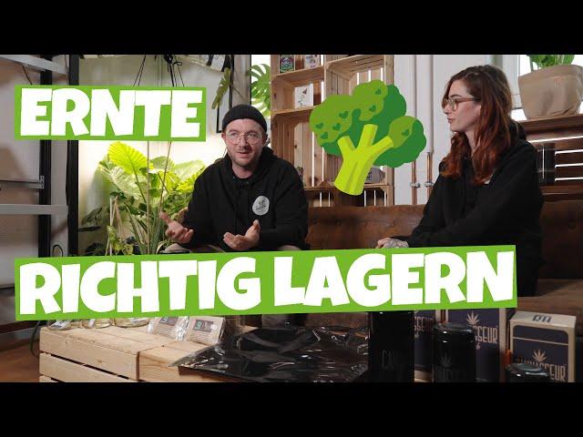 Die Grow Ernte richtig aufbewahren und lagern nach der Trocknung | Gläser und Grovebags |