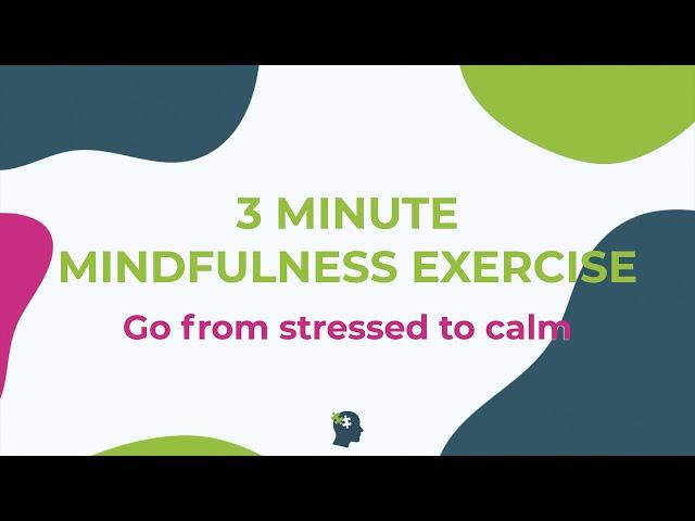 3 MINUTE MINDFULNESS Exercise | (2022) Stress and Anxiety Release