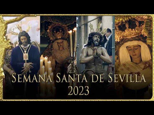 SEMANA SANTA DE SEVILLA 2023 COMPLETA | Todos los videos de LA SAETA WEB de 2023