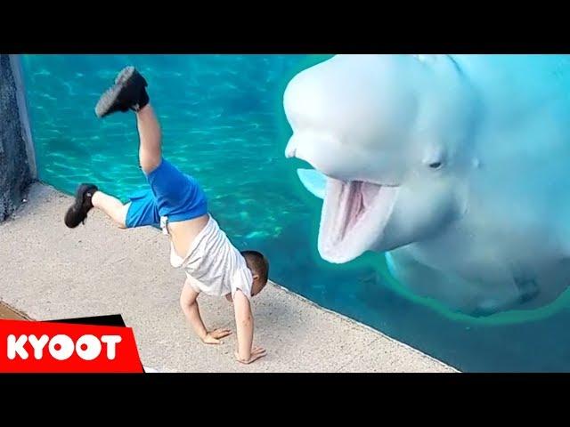 Beluga Whale is AMAZED by Tricks!  | Funny Aquarium Videos