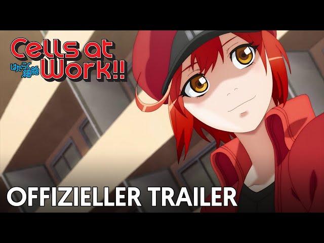 Cells at Work !! | Offizieller Trailer