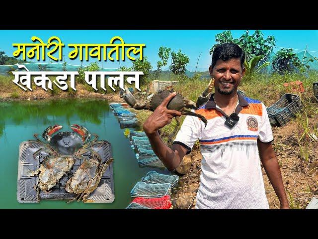 मणोरी गावातील खेकडा पालन आणि व्यवसाय | Crab Farming Near Mumbai | Manori Island