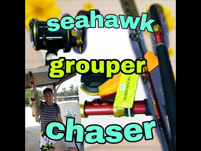 Seahawk grouper chaser # jigging rod