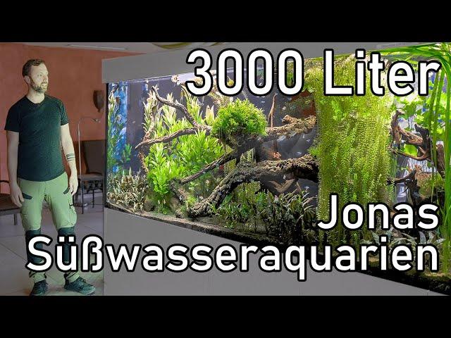 Jonas XXL Aquarien | Professionelle Aquarien und Pflege-Tour (Süßwasser)