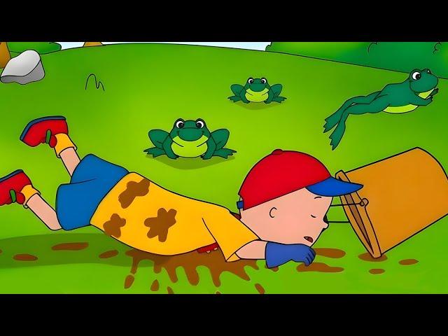 Caillou Kurbağalara Yardım Ediyor | Caillou Klasikleri