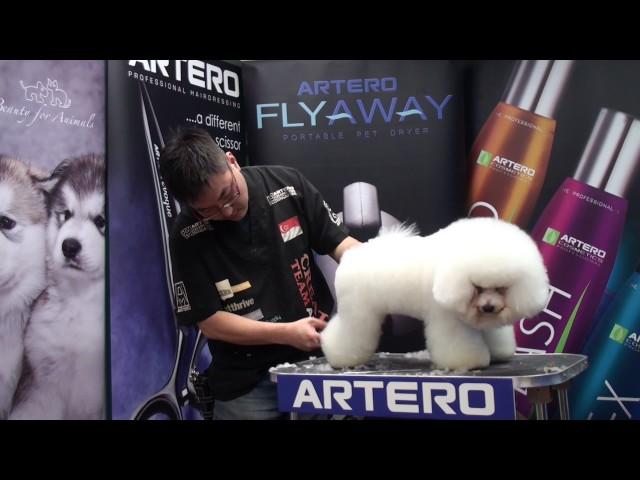 ARTERO Creative Team Singapore Mr. Park Sang Hun Bichon Full Grooming Video