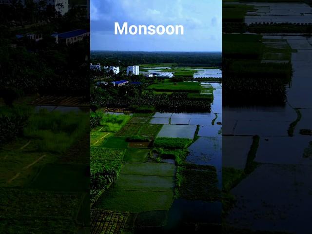 ️ Monsoon vs ️ Summer #MonsoonVsSummer #SeasonShowdown #nature #rainyday  #SunnyDays #shorts