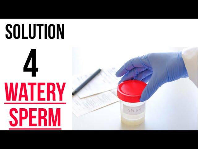 Solution For Watery Sperm || How To Stop Watery Sperm.