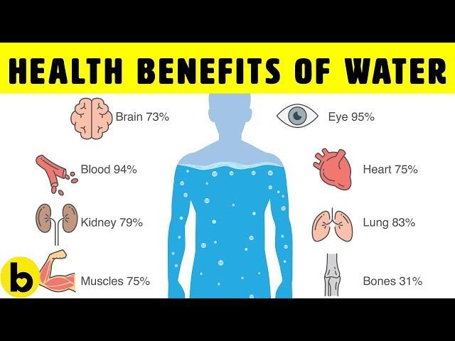 8 POWERFUL Health Benefits Of Drinking Water