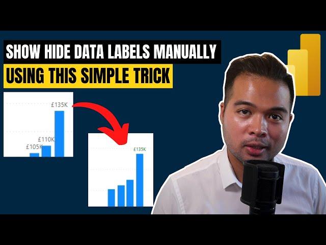 EASY WAY to SHOW / HIDE Data Labels in Power BI // Beginners Guide to Power BI in 2022