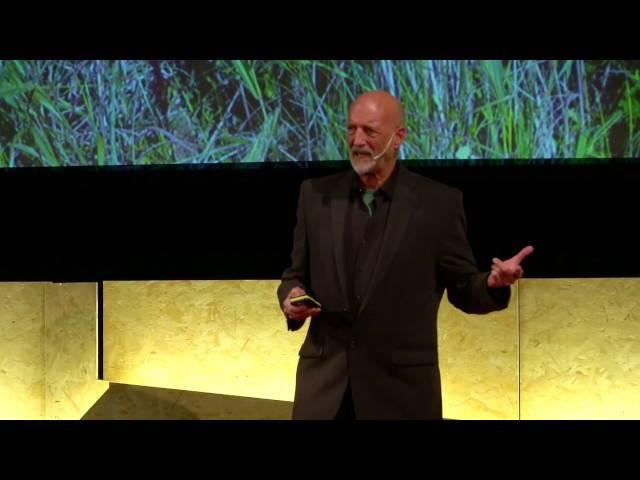 Life is Art | David Alan Harvey | TEDxVerona