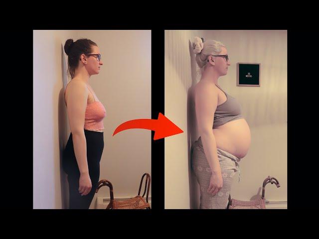 Pregnancy Time Lapse – A Photo Every Day