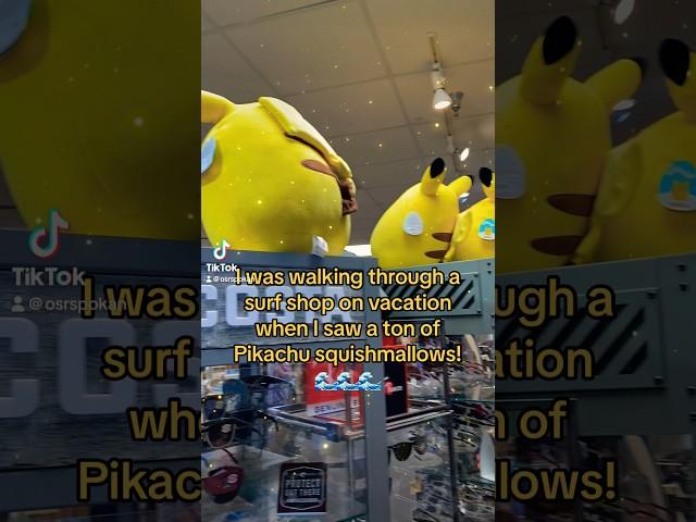 Hidden Pikachu Squishmallows at a surf shop!? 