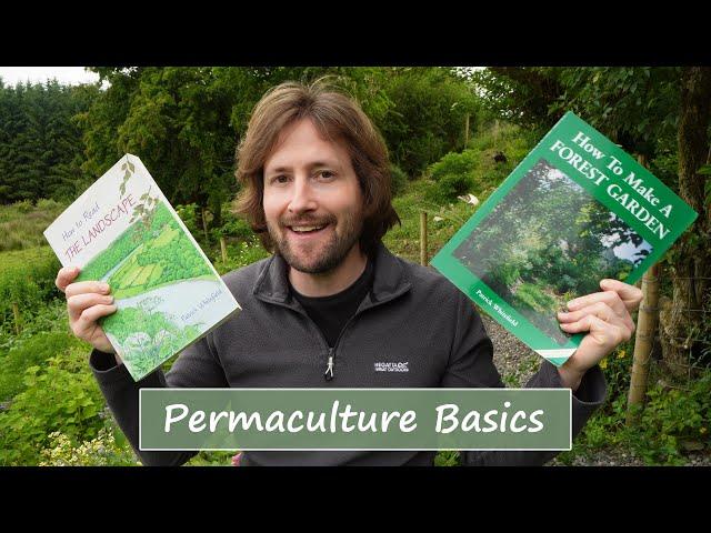 Permaculture Basics | What Does It Really Mean?