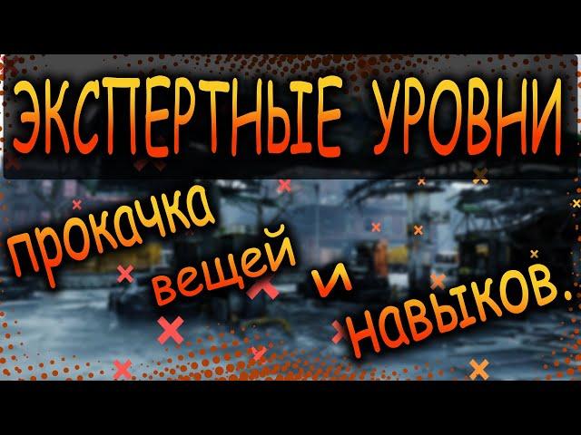 DIVISION 2  ЭКСПЕРТНЫЕ УРОВНИ | НОВАЯ ПРОКАЧКА ХАРАКТЕРИСТИК | ОБНОВЛЕНИЕ 15  ПТС