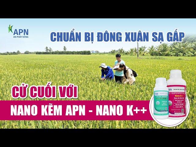 APN - CỬ CUỐI VỚI NANO KẼM & NANO K++, NHỮNG BƯỚC CHUẨN BỊ CHO VỤ ĐÔNG XUÂN - THU ĐÔNG 2024|16