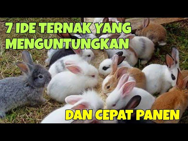 7 IDE TERNAK YANG MENGUNTUNGKAN DAN CEPAT PANEN, COCOK UNTUK PEMULA SEBAGAI BISNIS SAMPINGAN