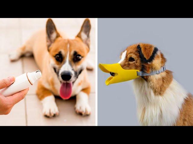 50 Coolest Pet Products | Most Trending Pet Accessories of 2024