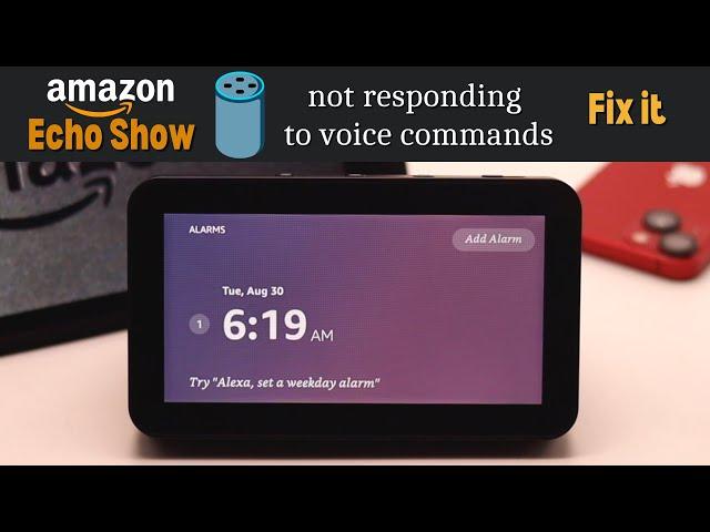 Amazon Echo Show 5 Not Responding To Voice Commands? Here's The Fix!