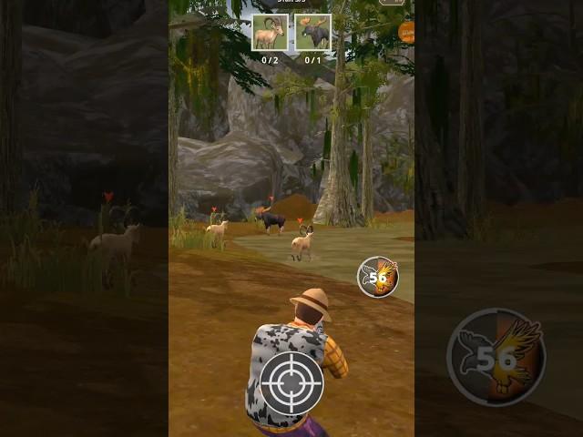 Animal Hunter Wild Shooting: #animalhunter #wildshooting #gaming #gameplay