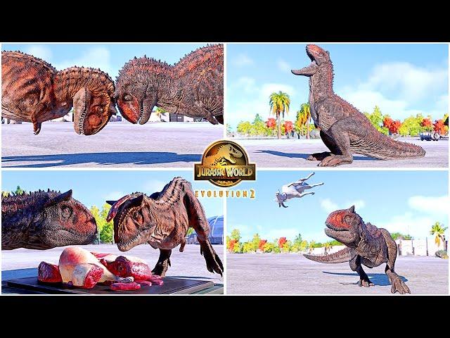 Demon Carnotaurus All Perfect Animations & Interactions  Jurassic World Evolution 2 - Dominion 2022