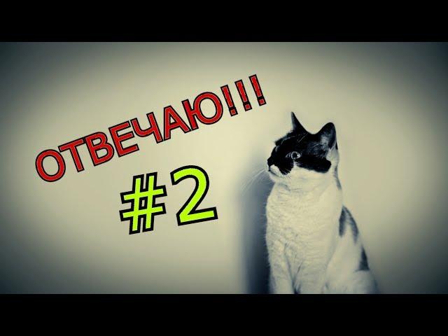 ОТВЕЧАЮ! Ответы на Ваши вопросы #2 :)