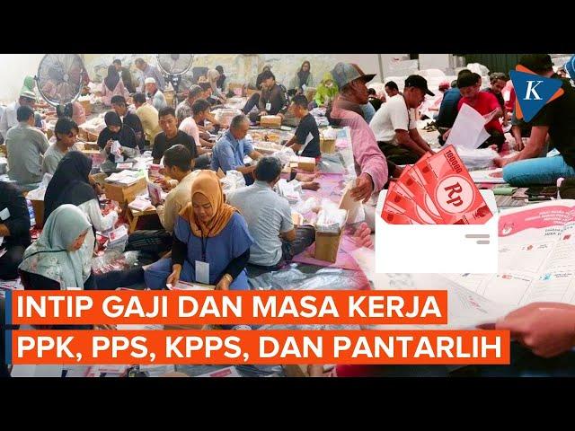 Segini Gaji dan Lama Masa Kerja PPK, PPS, KPPS dan Pantarlih pada Pemilu 2024