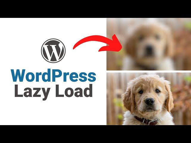 How To Add Lazy Loading To WordPress