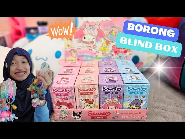 Borong Blind Box Mistery Sanrio 12 Kotak  Asti Kunyit Eps 344