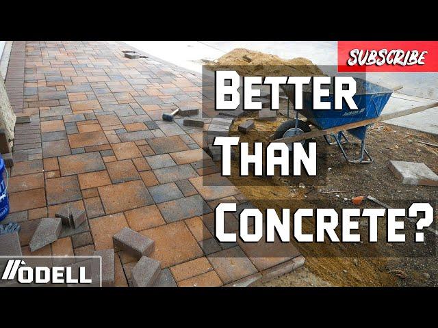 How to Prep and Set Pavers like a pro! Full Backyard Remodel!