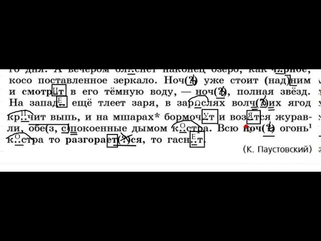 Русский язык 6 класс (Ладыженская). Урок 6. Упражнение 31