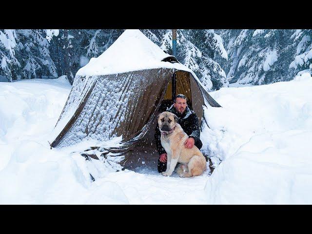 My Winter Camps in Extreme Conditions! - Best Snow Camps of 2024 Part 2