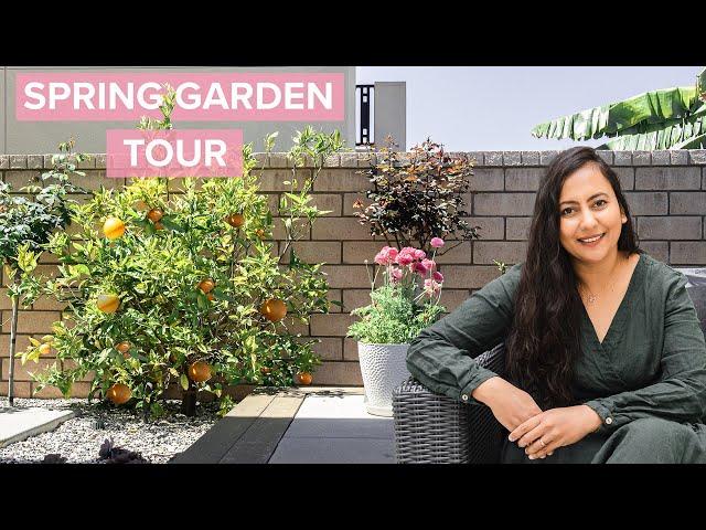 Full May 2024 Garden Tour | My Modern Cottage Garden Is Waking Up 