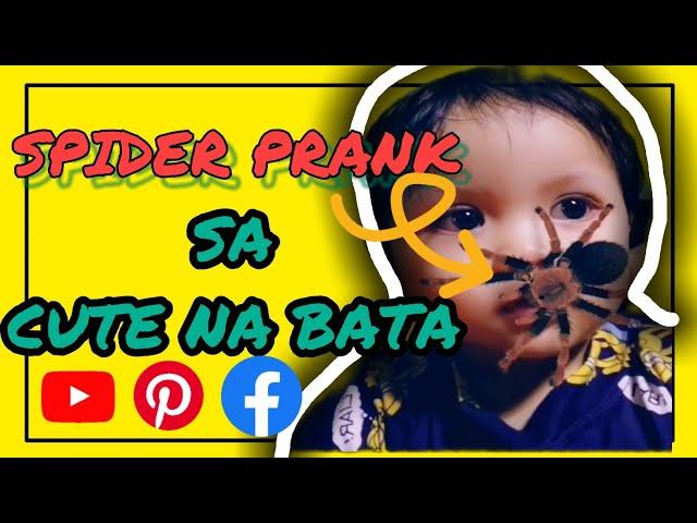 SPIDER PRANK GONE WRONG | HINDI SYA NATAKOT | SAKIT TYAN SA KAKATAWA   