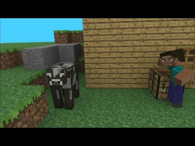 Steve and the Cow Minecraft Animation Blender Software