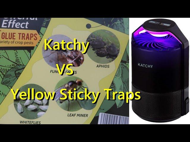 Katchy Indoor Insect Trap for Fungus Gnats - Is it Better than Yellow Sticky Glue Boards?