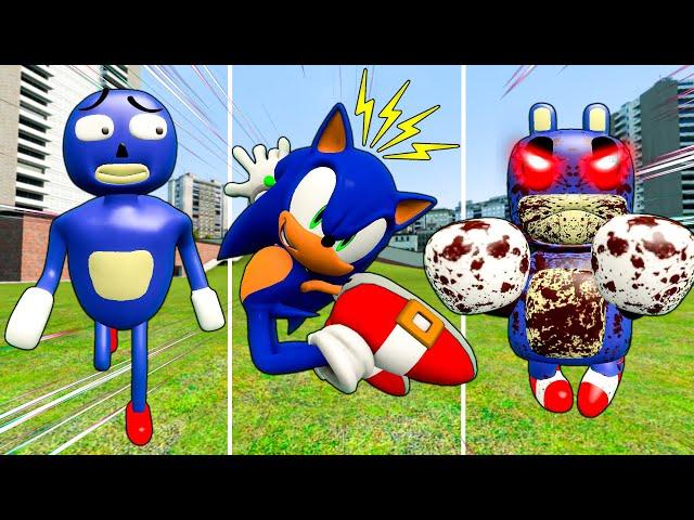 PLAYING AS SUPPER CURSED SONIC 3D SANIC CLONES MEMES in Garry's Mod!