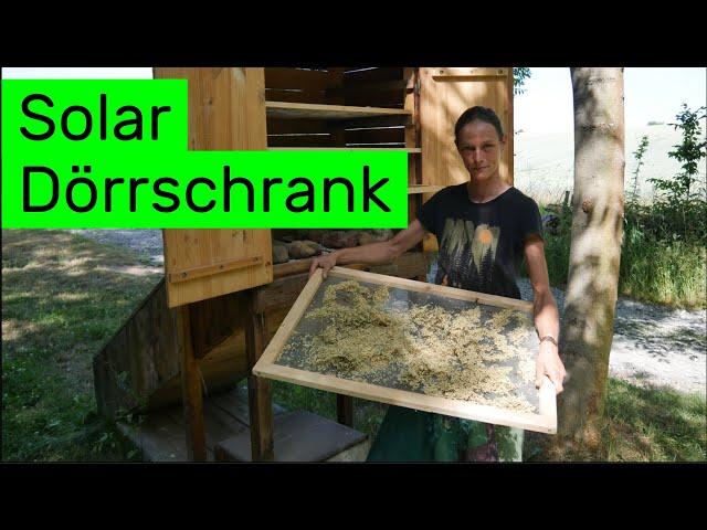 Unser Solar-Dörrschrank: Kräuter trocknen XXL mit Sonnenenergie