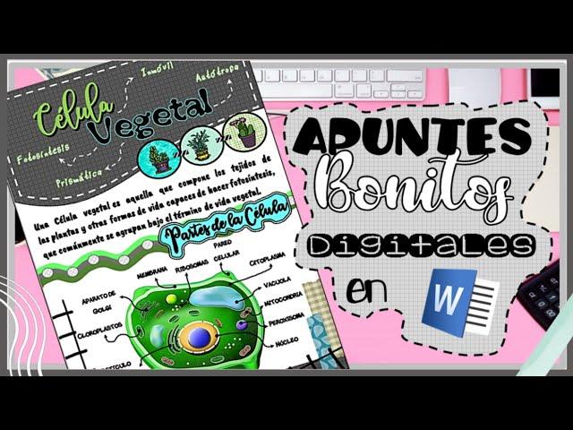 COMO HACER APUNTES BONITOS DIGITALES EN WORD  TAREA EN WORD/ APUNTES BONITOS EN LA COMPU ⌨