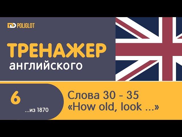 ddPoliglot: Тренажер Английского. Урок 6. Сколько тебе лет, как он выглядит, замужем ли она ...