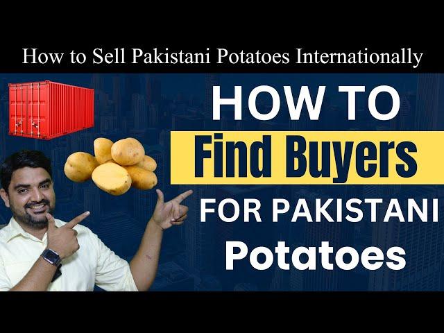 How to Sell Pakistani Potatoes Internationally - How to Find Buyer for Pakistan Potatoes