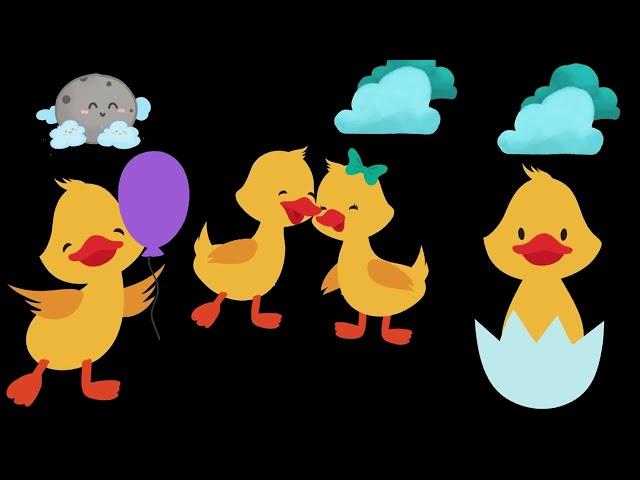 Baby Sensory Wonders Dancing Ducks For Happy Little Ones!!