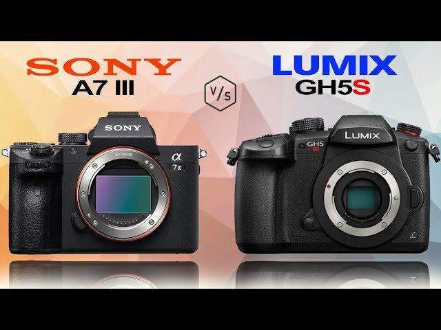 SONY Alpha A7 III vs Panasonic LUMIX GH5S