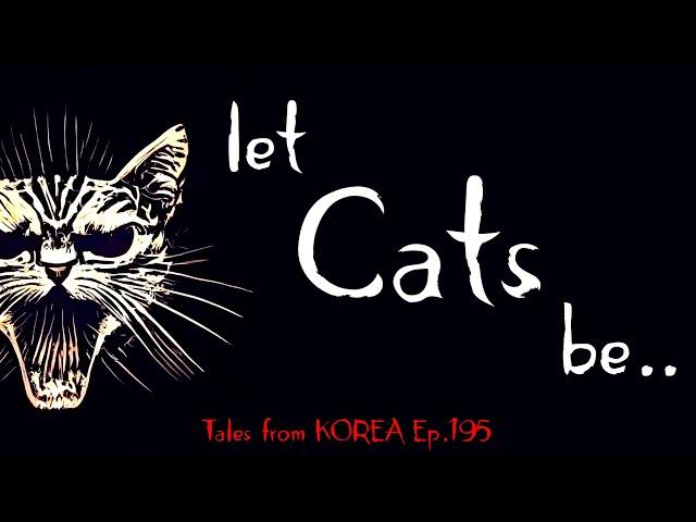 7 Spooky Stories about Cats - Tales from Korea Ep.195