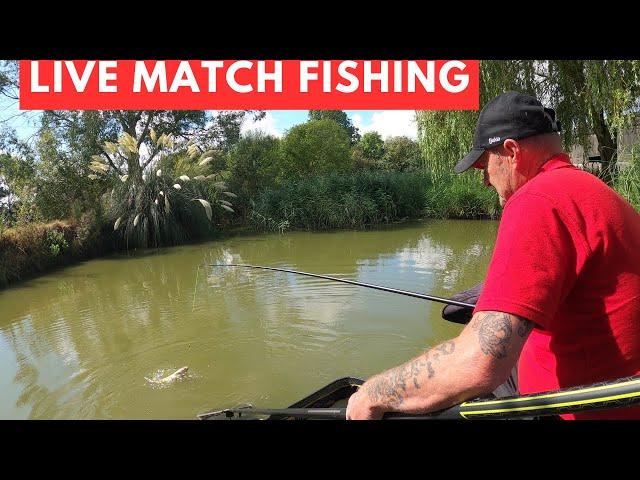 Live Match Fishing Manor Farm Swilland #matchfishinguk