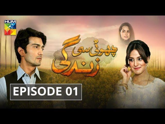 Choti Si Zindagi Episode #01 HUM TV Drama