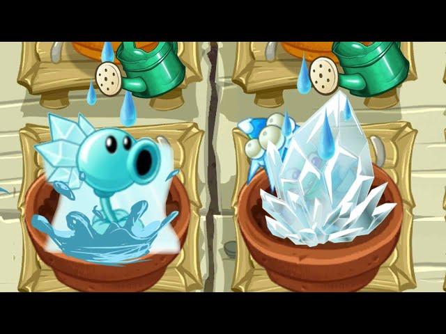 All Animation Ice Plants In Zen Garden - Plants Vs Zombies 2