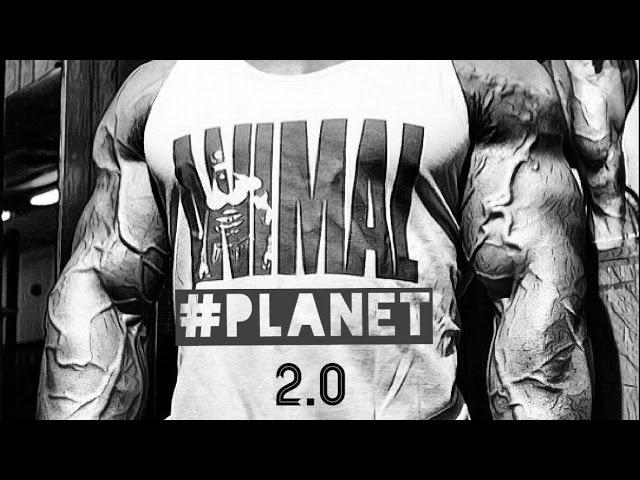 BODYBUILDING MOTIVATION - ANIMAL PLANET 2.0